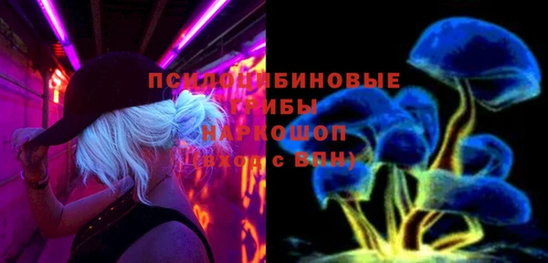 кокс Алексин