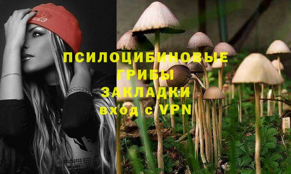 кокс Алексин