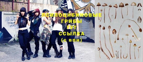 спайс Алексеевка