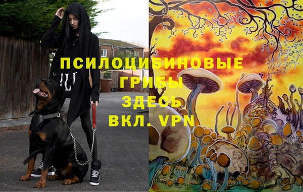 спайс Алексеевка